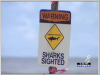 Warning: Sharks Sighted